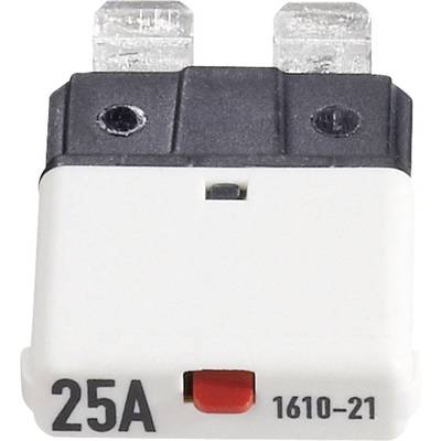  1610 CE1610-21-25A Standard mini blade-type fuse circuit breaker 25 A White 1 pc(s)
