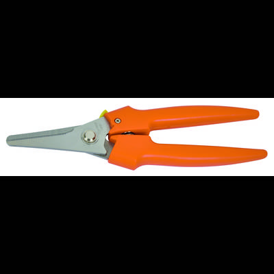 Orange garden secateurs with silver blade, suitable for cutting flowers and plants.