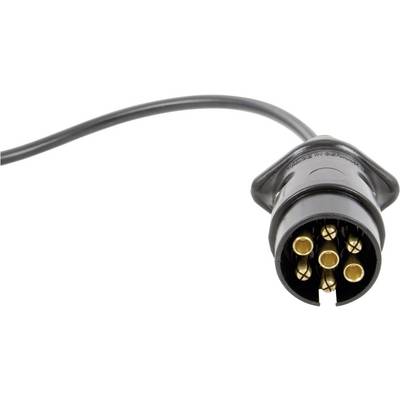 A black plug with seven gold-coloured pins and a cable. The plug is designed for connection to a specific port.