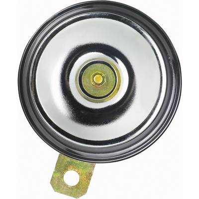 'Round metal disc with a central fixing point and reflective surface, most likely a car horn.'