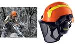 Pheos forest work visor ESS metal