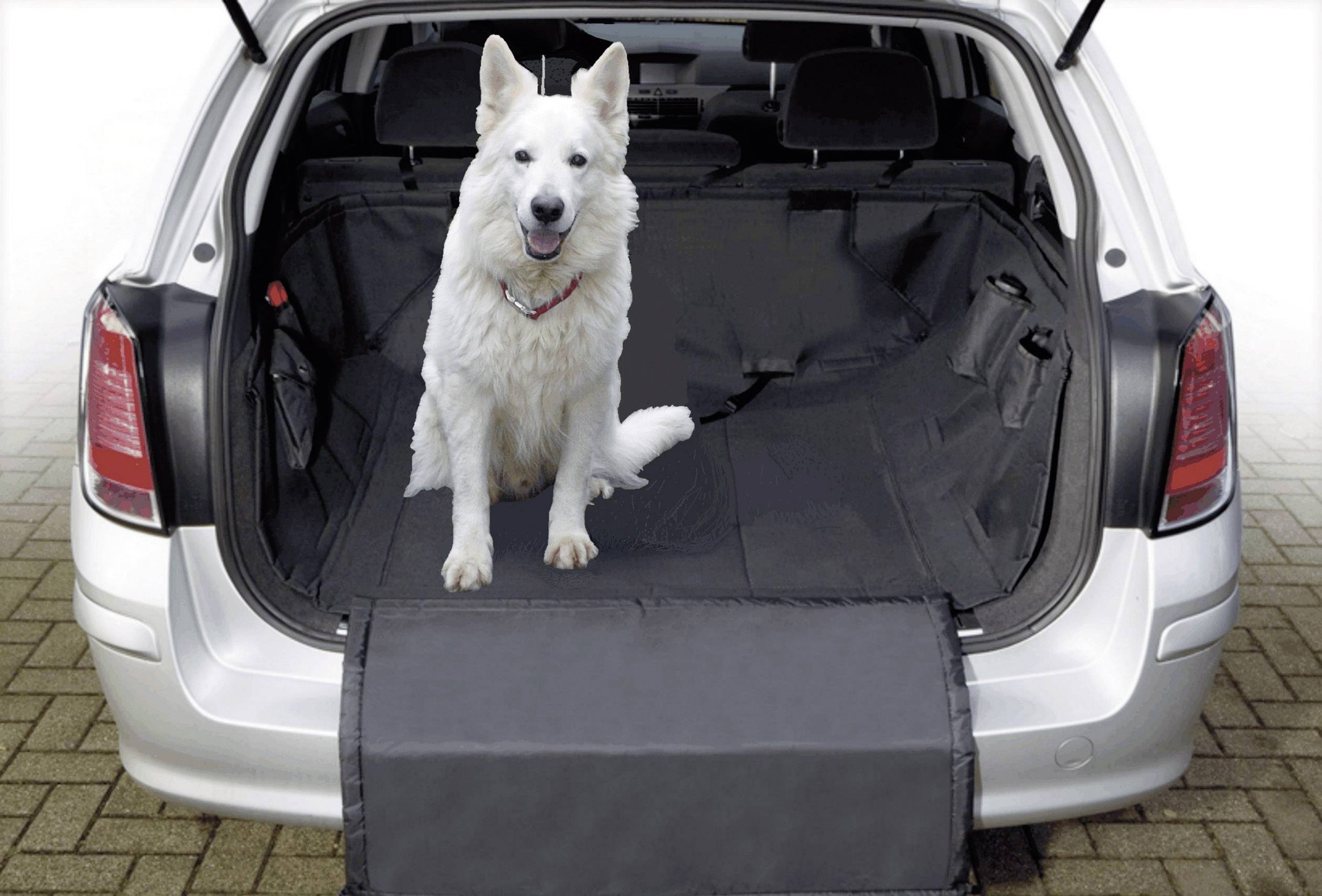 A white dog is sitting in the boot of a car, lined with a black protective mat. The boot is open.