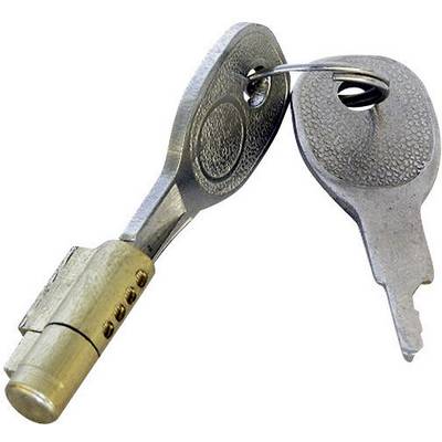 Two silver keys are inserted in a gold-coloured door cylinder lock, connected by a metal ring.