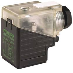 Solenoid Connectors Murrelektronik 7000-29421-0000000 Murr Elektronik