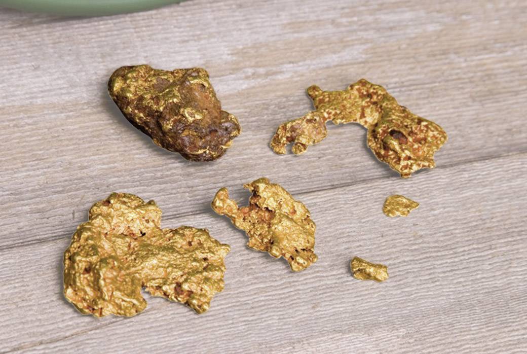 Gold nuggets lie on a wooden table. They vary in shape and size, shine brightly and display irregular surfaces.