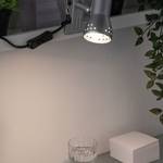 Paulmann Gryps 99825 Clip lamp Energy-saving bulb E14 40 W Iron