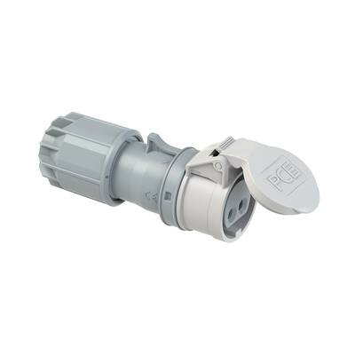 PCE PC Electric 282-12v CEE connector 16 A 2-pin 42 V 1 pc(s)
