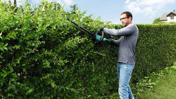 Bosch Home and Garden AHS 50-20 LI Rechargeable battery Hedge trimmer + battery 18 V Li-ion 500 mm-1