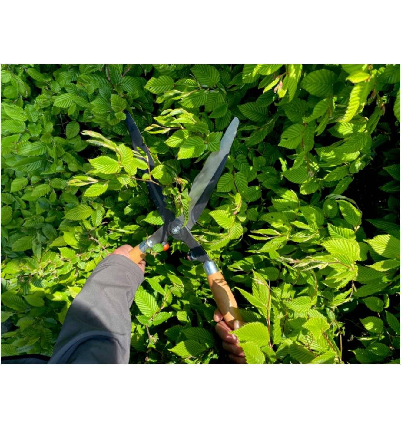 Bahco Manual Hedge trimmer-1