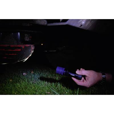 Varta Indestructible 1 W, 3 AAA LED (monochrome) Torch battery-powered 155 lm 19 h 137 g-6