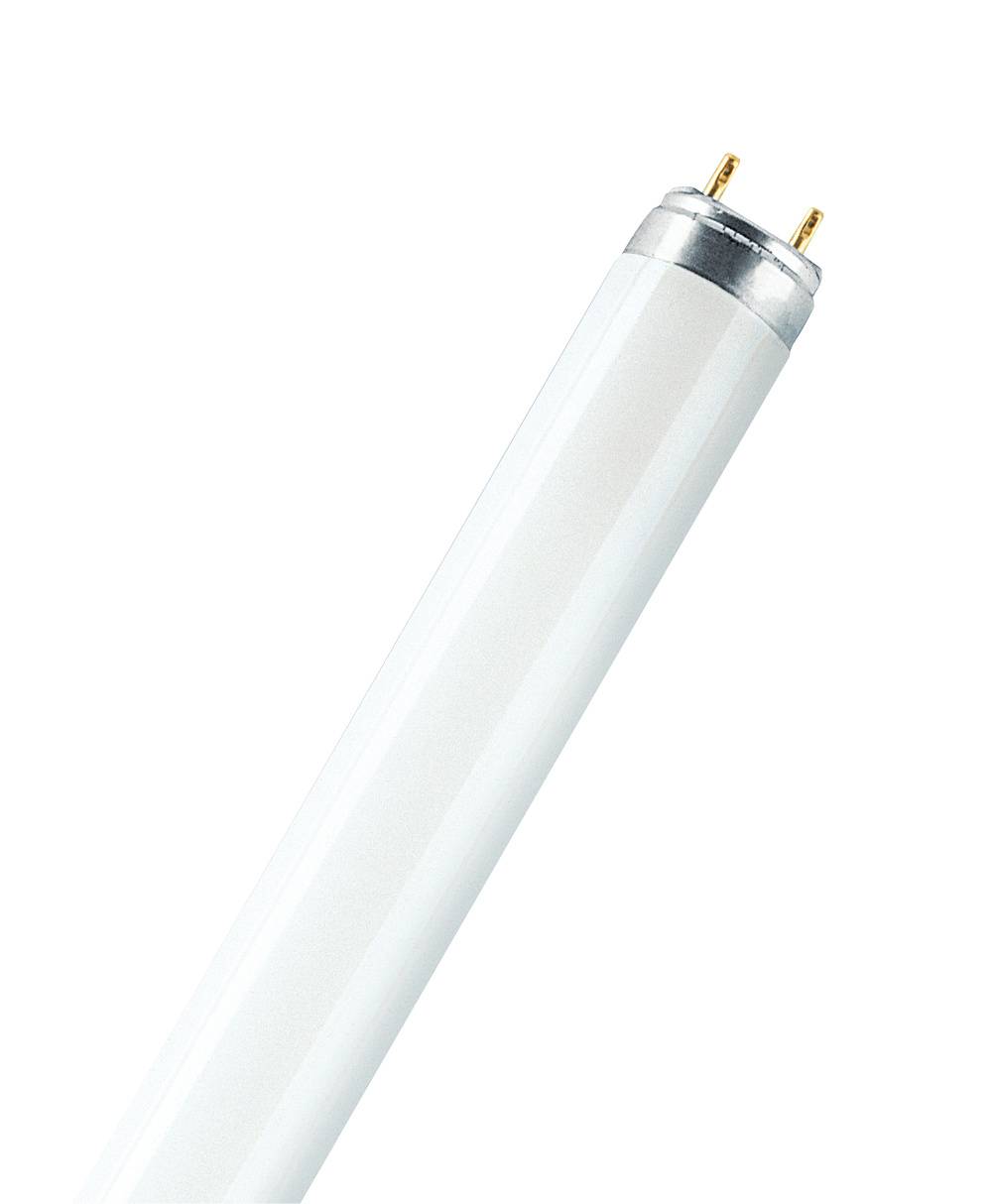 OSRAM Fluorescent tube EEC: G (A - G) G13 36 W Cool white Tube shape (Ø x L) 26 mm x 1213.6 mm 1 pc(s)-3