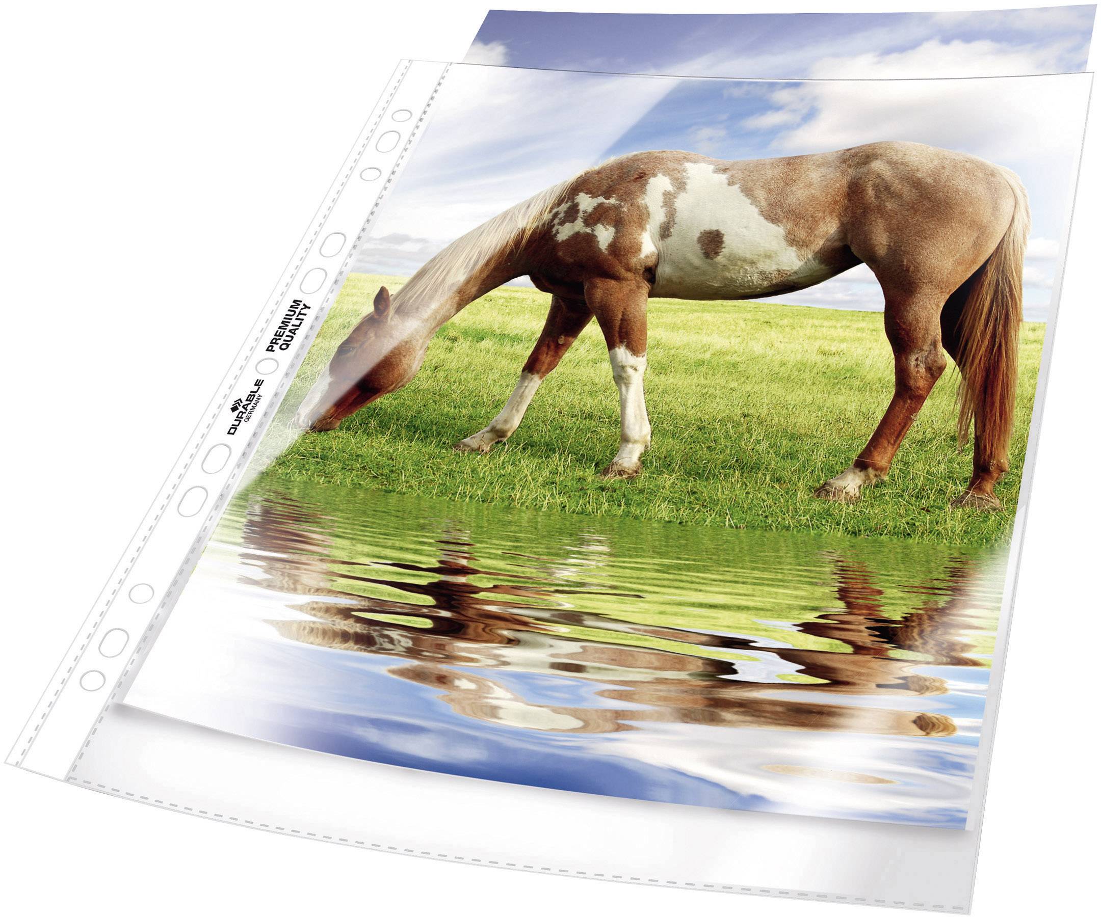 Durable Punched pocket PREMIUM QUALITY A4 Polypropylene 0.8 mm Glassy 267619 100 pc(s)