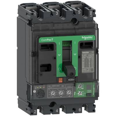 Schneider Electric C25F34V100 Circuit breaker 1 pc(s)     