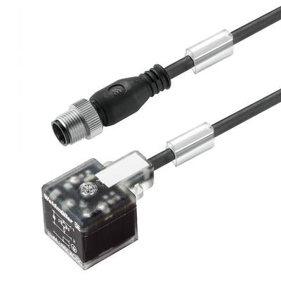 Square connector + molded lead, straight plug, type A, M12A, cable length 1.5 m, PUR  SAIL-VSA-DS-M12G-1.5U  1316550150 