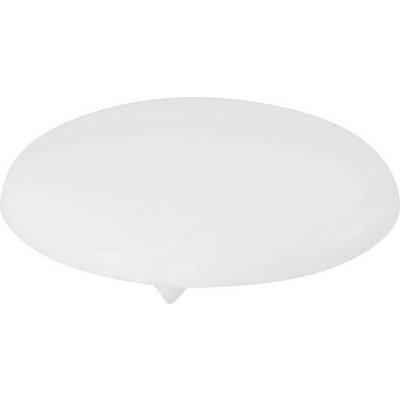 White foam disc, flat, with a slightly curved surface.