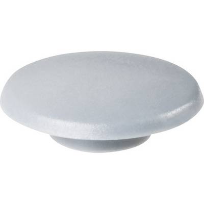 A round, flat, grey button with a smooth, matte surface.