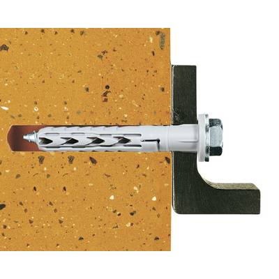 Rawlplug in Brick Wall: A plastic wall plug with a screw demonstrates the correct fixing method in an orange brick wall.