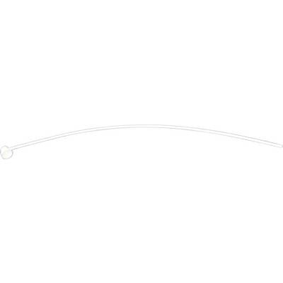 White, curved line with a circle at the left end on a white background.