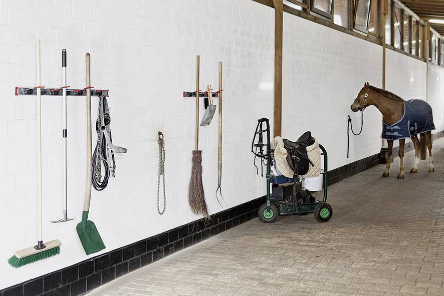 A horse in a blanket stands in a stable corridor next to cleaning equipment neatly hanging on the wall.