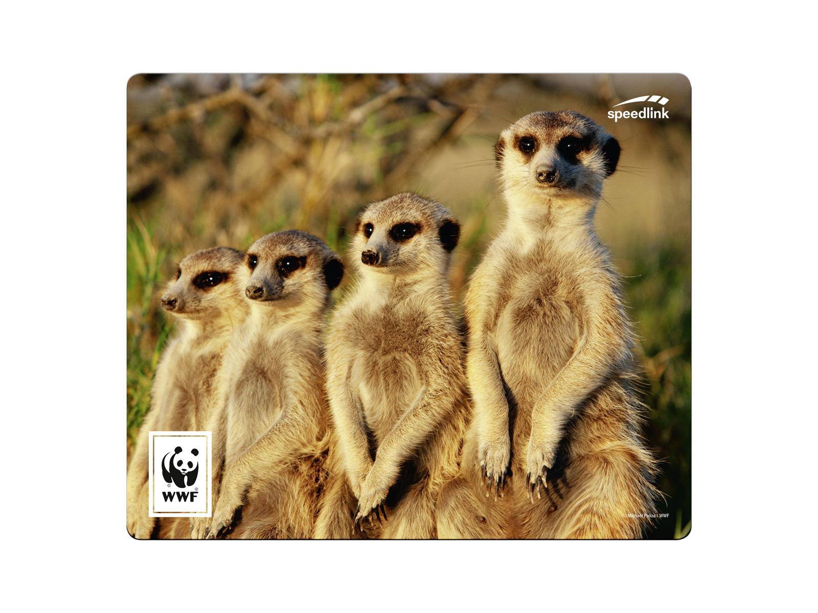 SpeedLink TERRA WWF Mouse pad Multicolour (W x H x D) 230 x 190 x 3 mm-1