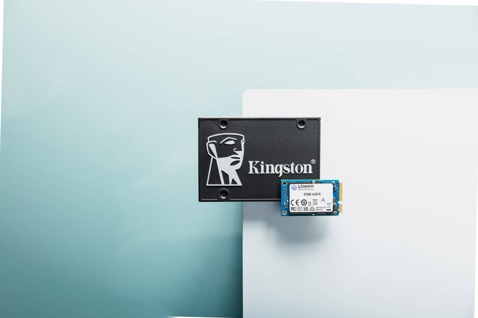 Kingston 256 GB Internal mSATA SSD SATA 6 Gbps Retail SKC600MS/256G-10