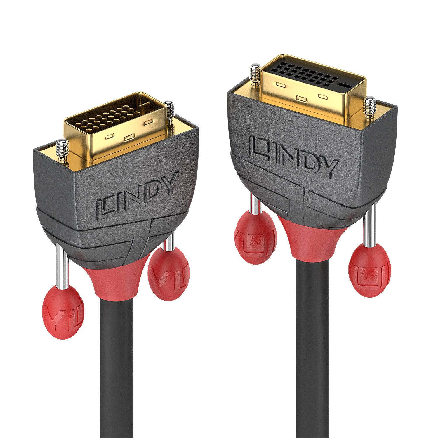 LINDY DVI Cable extension DVI-D 24+1-pin plug, DVI-D 24+1-pin socket 0.50 m Black 36230 DVI cable-3