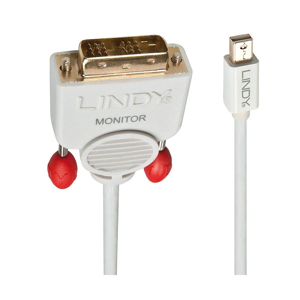 LINDY Mini DisplayPort / DVI Adapter cable Mini DisplayPort plug, DVI-D 18+1-pin plug 1.00 m White 41956 DisplayPort cab-5