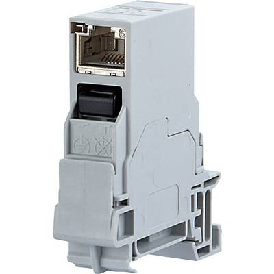 A grey-blue Ethernet plug module for DIN rail mounting with RJ45 connector, suitable for industrial network cabling.