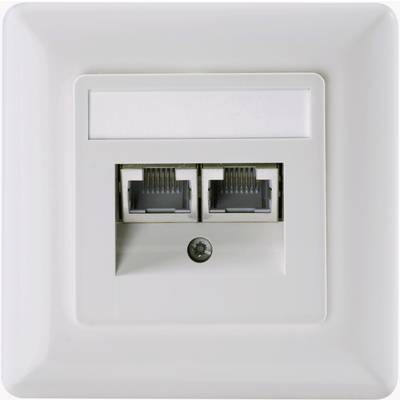 Setec 604697 Network outlet Flush mount Insert with main panel and frame CAT 6  Oyster white