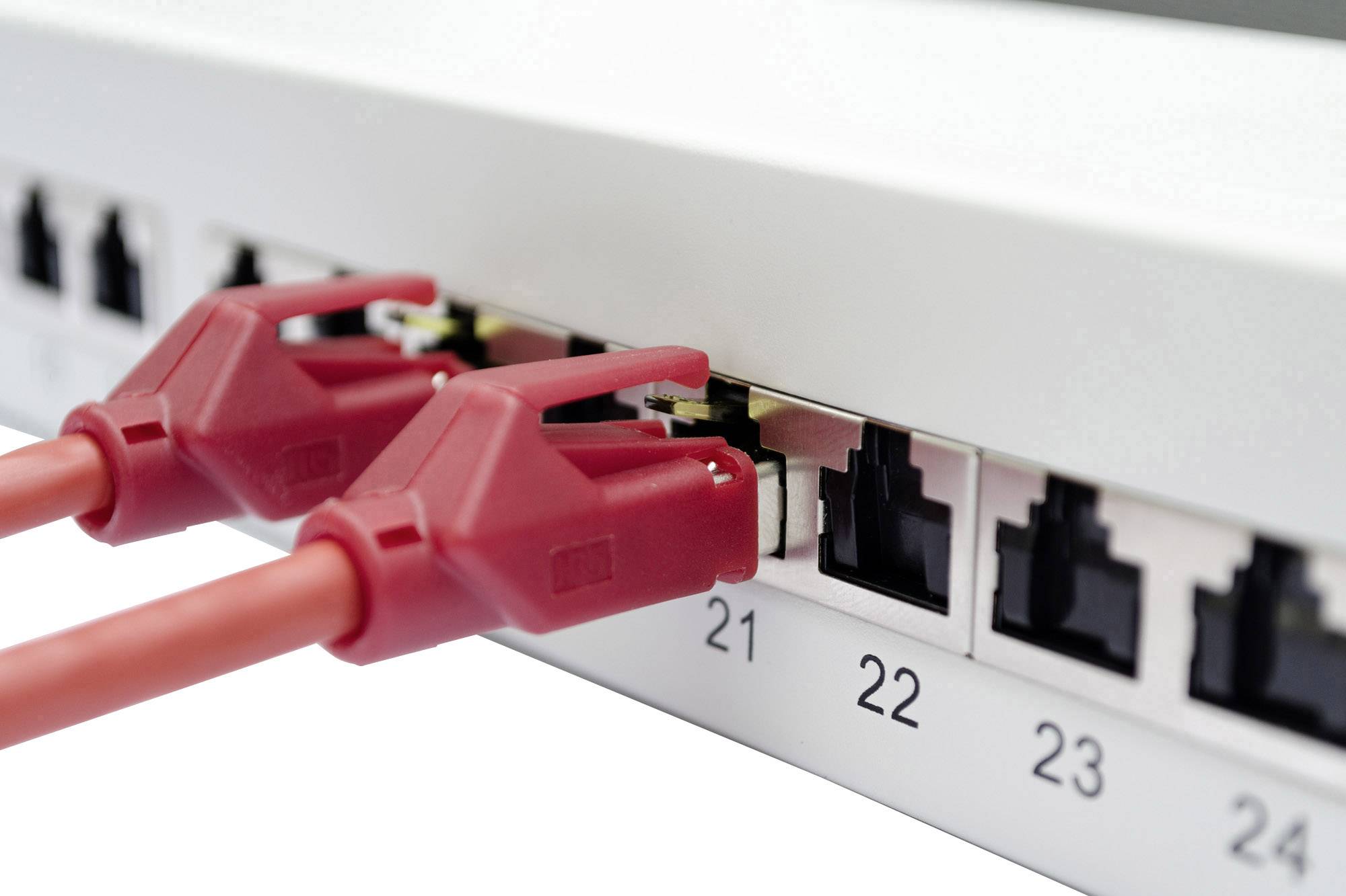 Digitus DN-91624S-EA 24 ports Network patch panel 483 mm (19") CAT 6A 1 U Grey-white (RAL 7035) Equipped