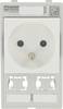 Combination insert 1-way France 2x data cut-out Modlink MSDD Murrelektronik Content: 1 pc(s)
