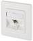 Network socket in a white wall plate, suitable for Ethernet connections in an office or home.
