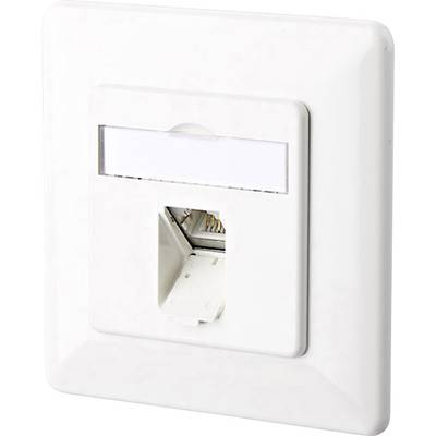 White Ethernet network socket with angled RJ45 connector, suitable for wall mounting.