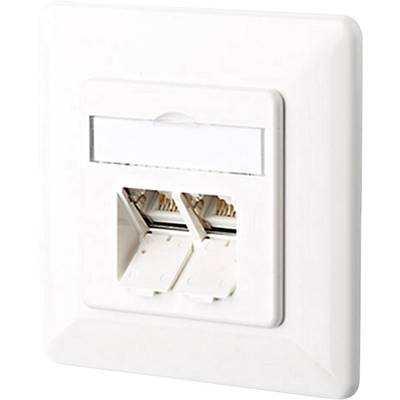 Double network wall socket in white, with two RJ45 ports and a removable cover. It is suitable for wall mounting.