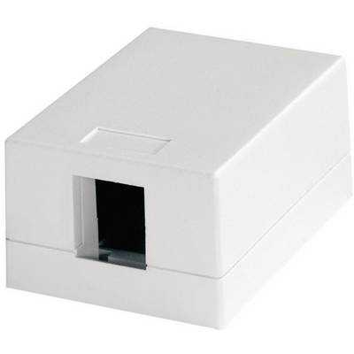 White network socket with a port suitable for Ethernet cable connections. Rectangular shape with a simple, smooth surface.