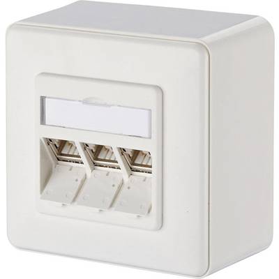 White network wall socket with three Ethernet ports and a label field at the top for marking the connections.