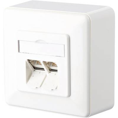 Two RJ-45 network sockets in a white wall plate, suitable for Ethernet connections in home or office networks.