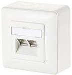 Surface Mounted Network Outlets