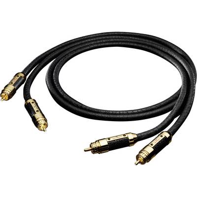 Black audio cable with gold-plated RCA connectors, suitable for connecting audio devices, demonstrates high-quality craftsmanship.