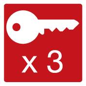 Black key on a light blue background with the inscription 'x 3' underneath, symbolising triple key access.