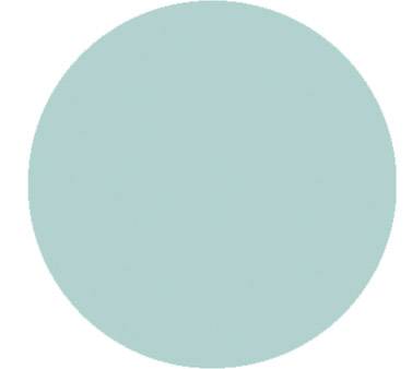 A light blue circle on a white background.