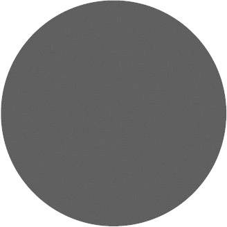 Grey circle on white background.