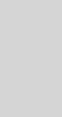 Plain grey surface with no distinctive features or details.