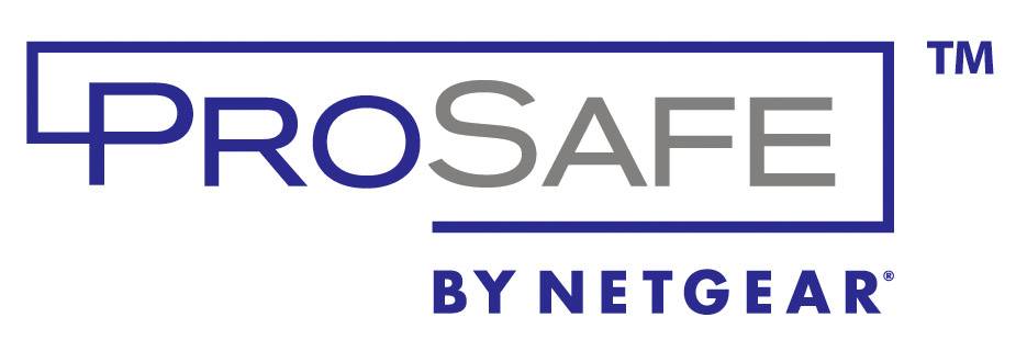 'ProSafe by Netgear' logo in blue and grey lettering with a stylised 'P'