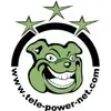 Illustration of a grinning green dog with three green stars above it. The text reads 'www.tele-power-net.com'.
