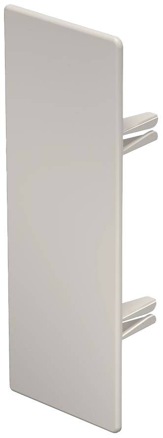 OBO Bettermann 6162843 Pieza terminal ( x ) 60 mm x 170 mm 10 ST Blanco crema-0