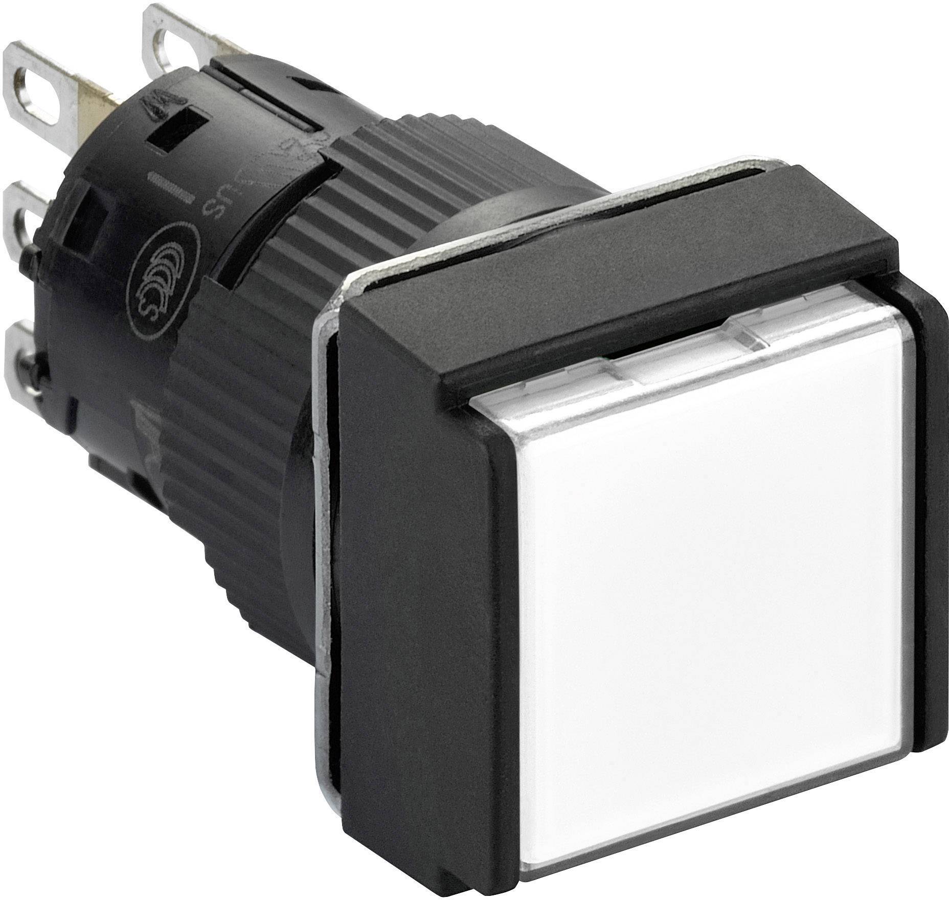 Schneider Electric XB6ECW1B1P XB6ECW1B1P Pulsador luminoso 250 V 3 A Pulsante (Ø) 1.6 cm IP65 5 ST Piece-0