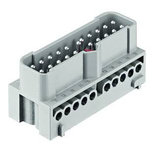 Inserto macho 19410202601 HARTING Contenido: 1 UD(S). Inserto macho-0