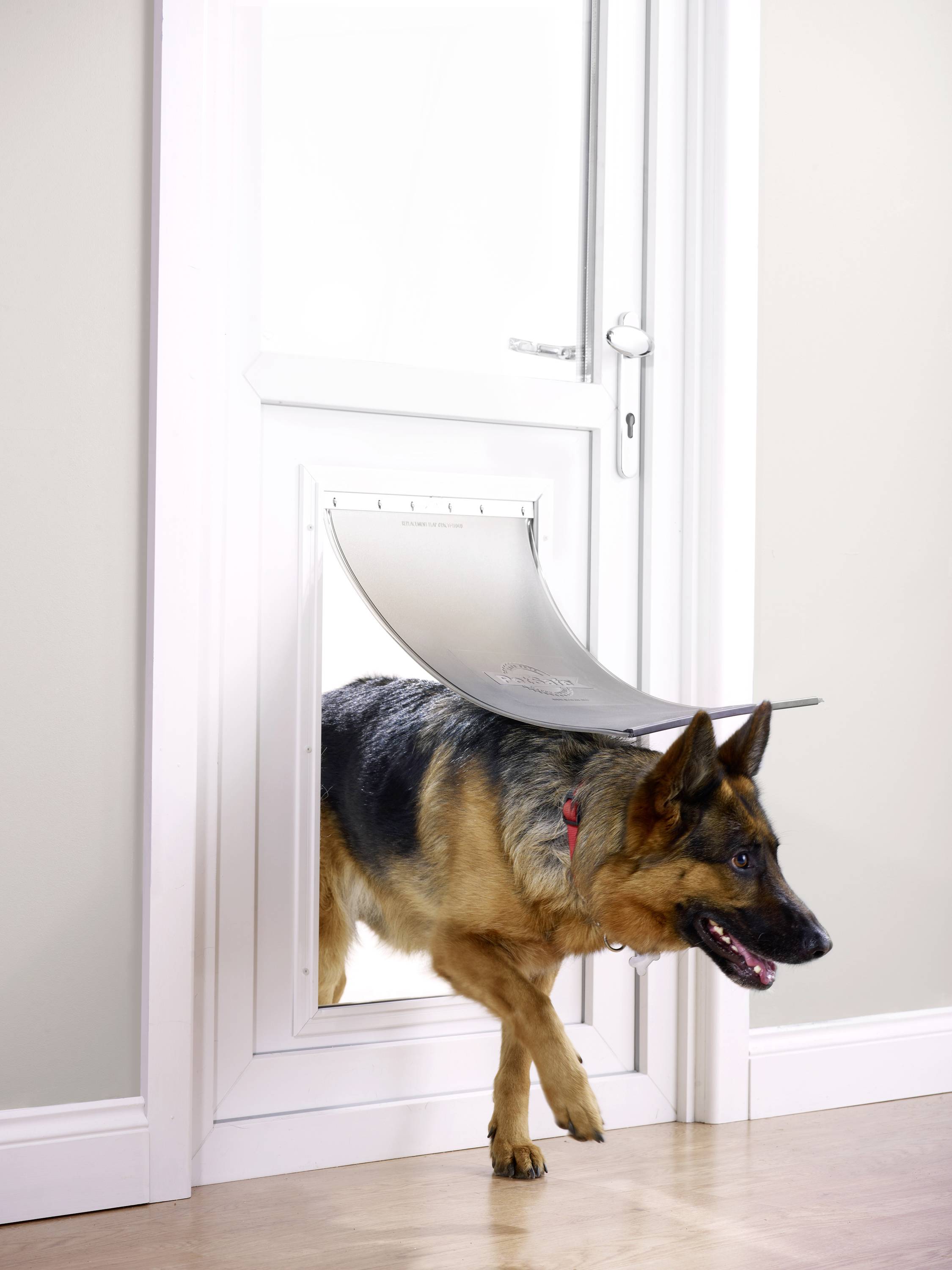 Petsafe XL Solapa de mascota Aluminio 1 UD(S).-1