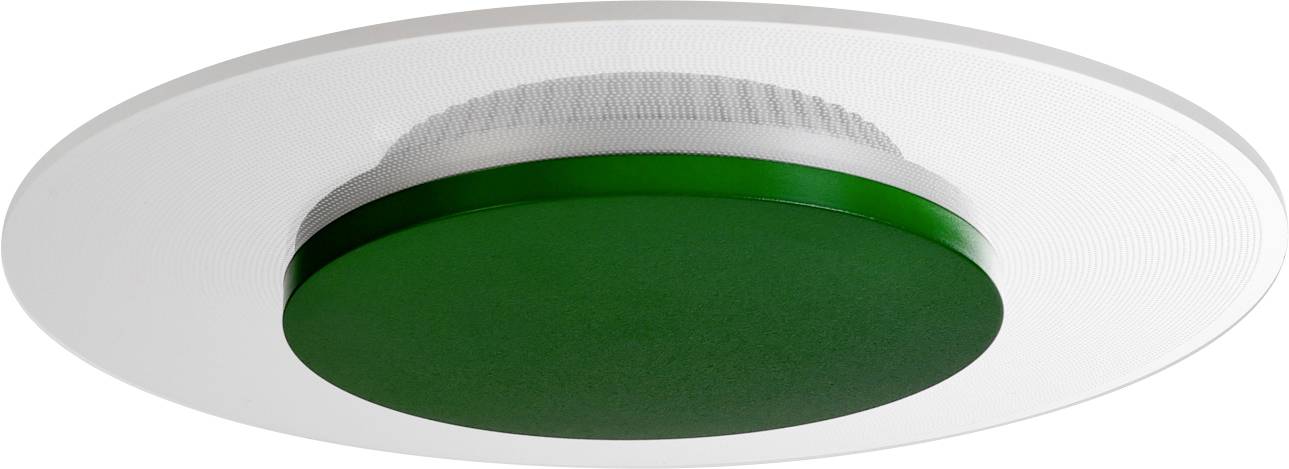 Deko Light Zaniah Luz de montaje en techo LED LED instalado de forma fija 12 W Clase de eficiencia energética: F (A - G) Blanco cálido Blanco